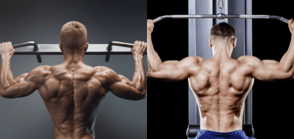 The Lat Pulldown vs. the Pull-Up — Which Is Better for Back Gains?